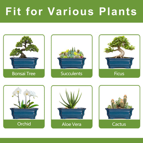 Teagas Bonsai Tree Pot makes a thoughtful gift for plant lovers