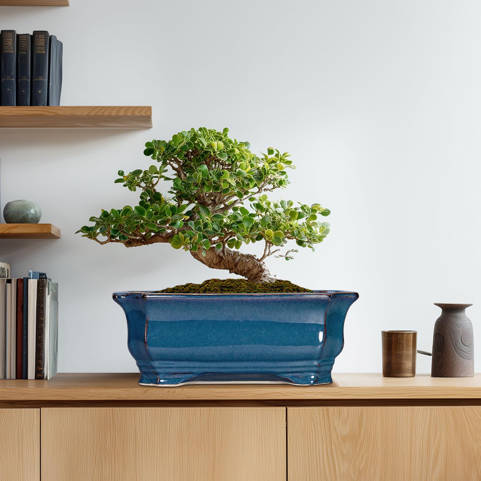 Teagas Bonsai Tree Pot ships securely with drainage net for easy setup