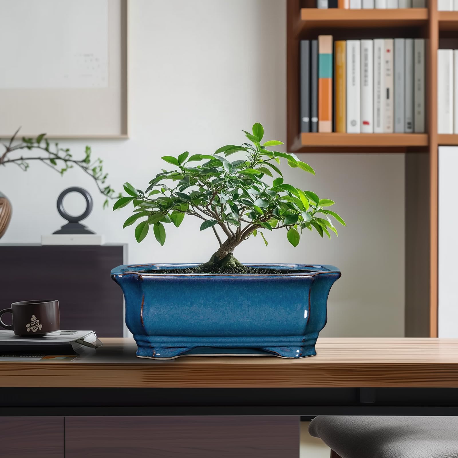 Teagas pot ships safely with protective packaging and care tips