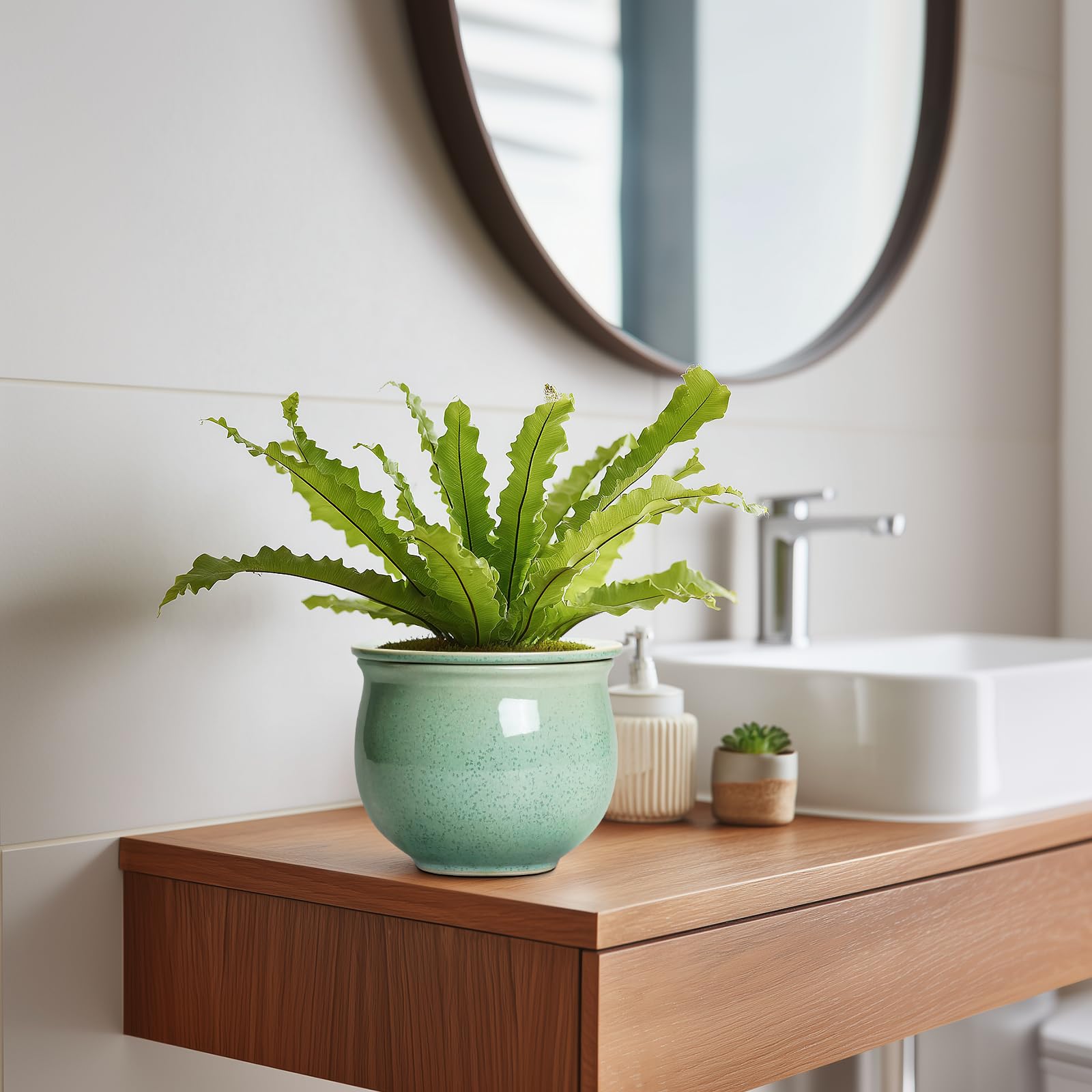 Teagas gift-ready ceramic planter makes a thoughtful present for plant lovers
