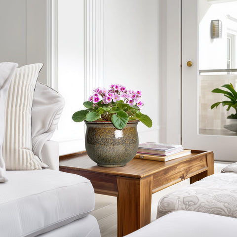 Teagas gift-ready planter for plant lovers and housewarmings.