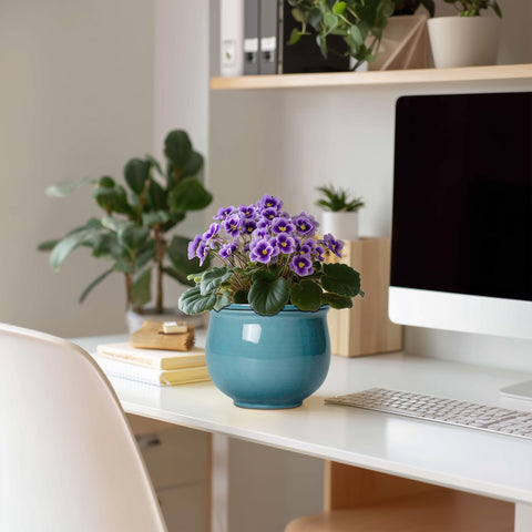 Teagas glaze blue ceramic pot highlights moisture-friendly self-watering design.
