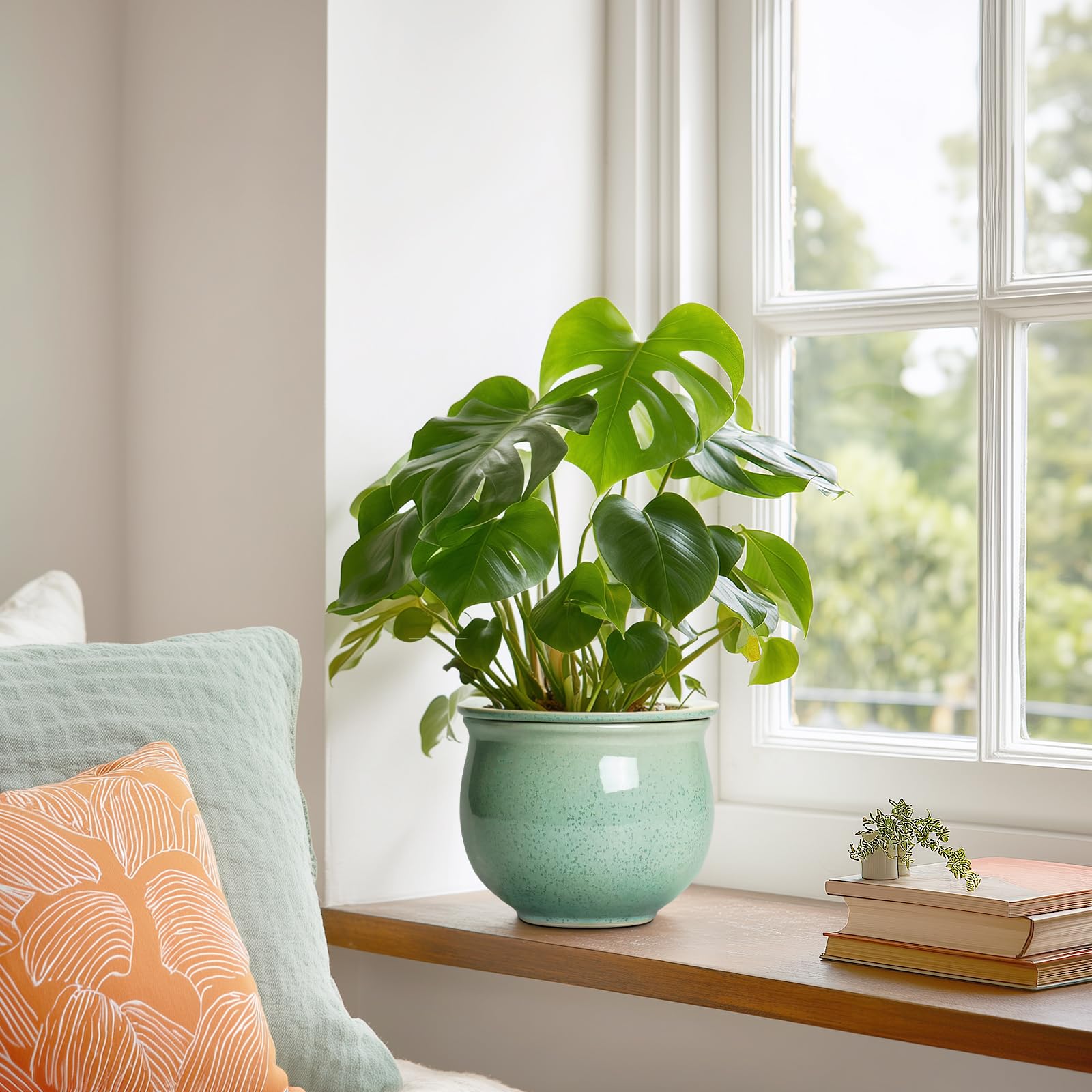 Teagas handcrafted ceramic planter serves as a decorative centerpiece in living spaces