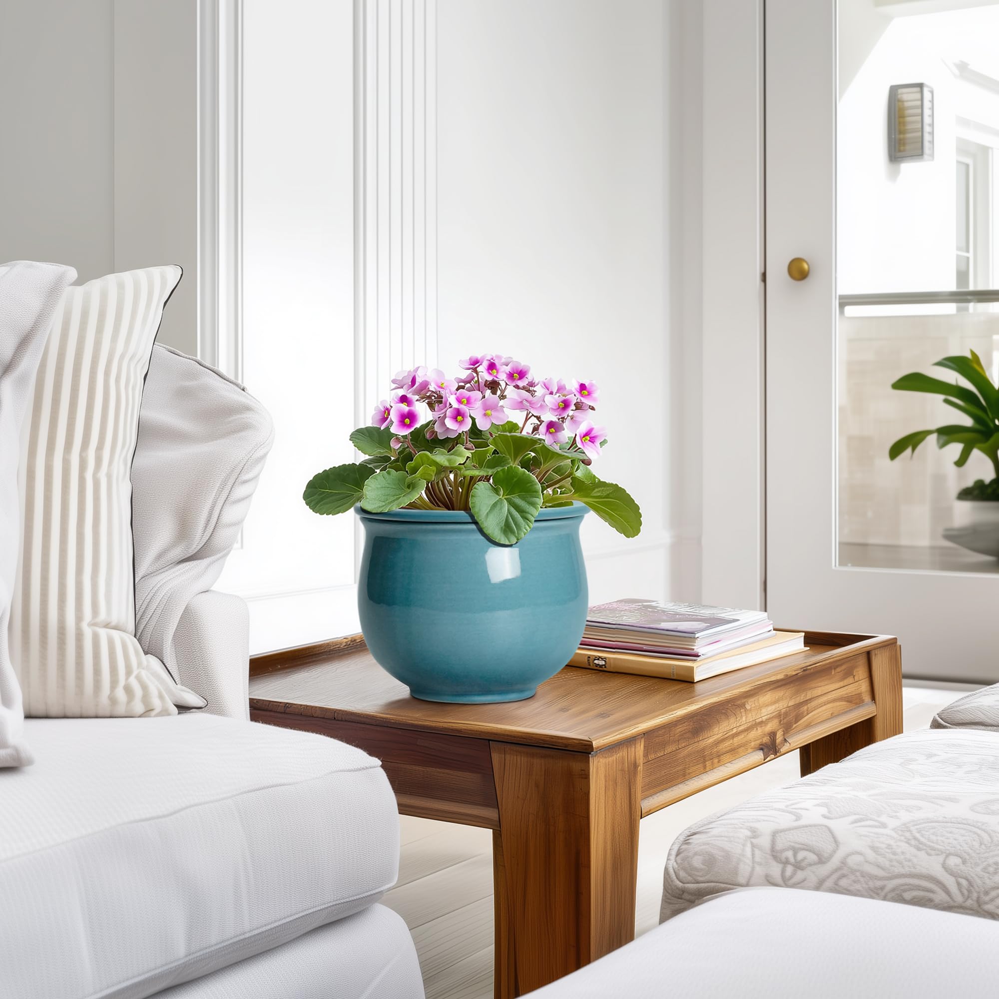 Teagas self-watering pot supports beginner-friendly plant care in any room.