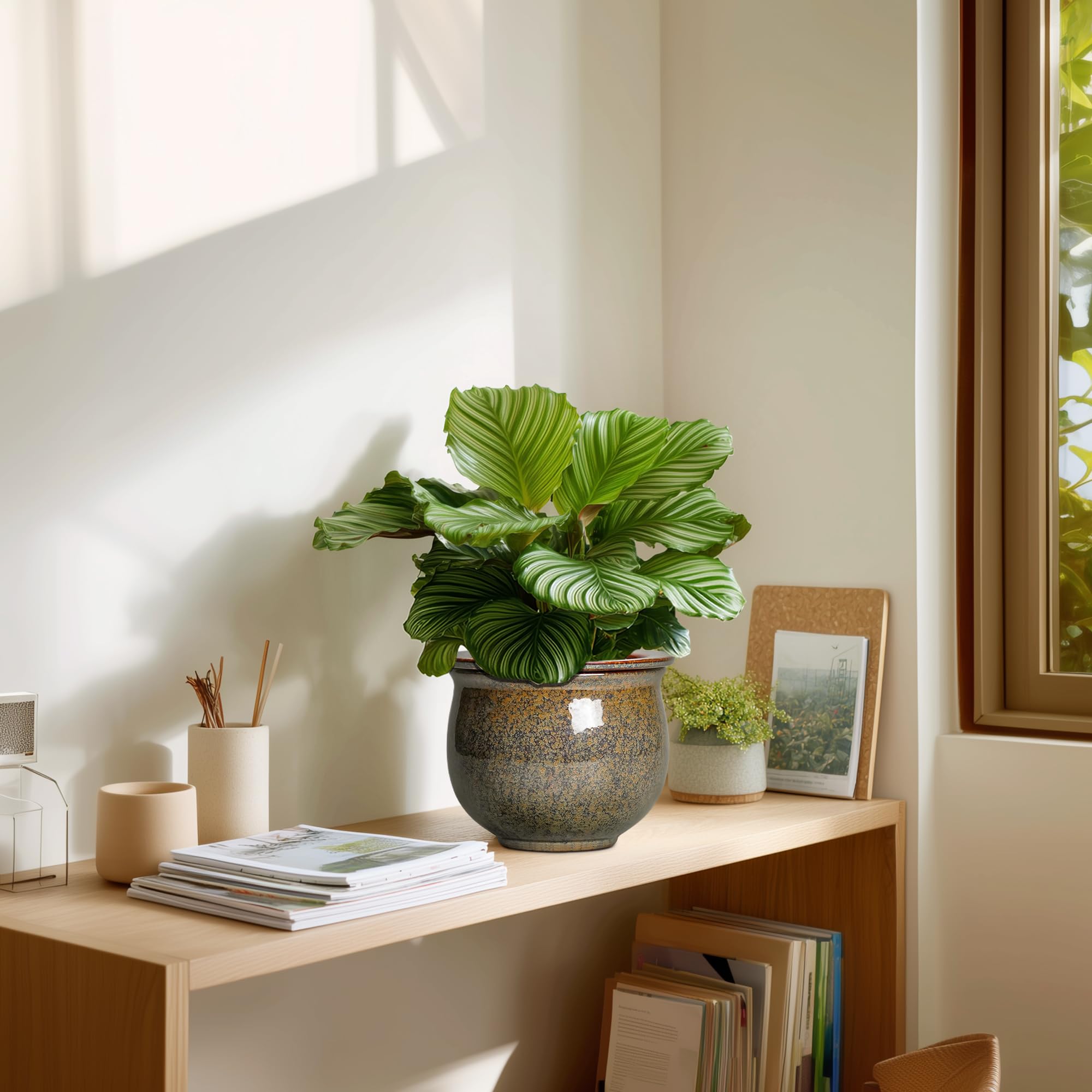 Teagas room decor setup with a sunny yellow ceramic pot.