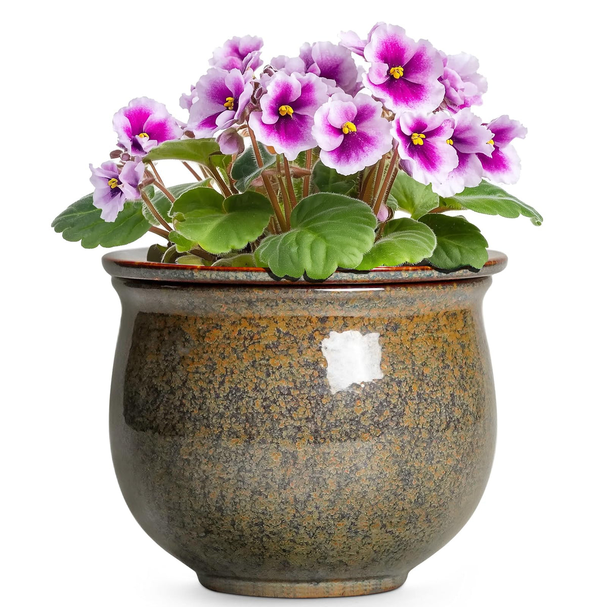 Teagas self-watering outer pot with glaze enhances indoor plant care.