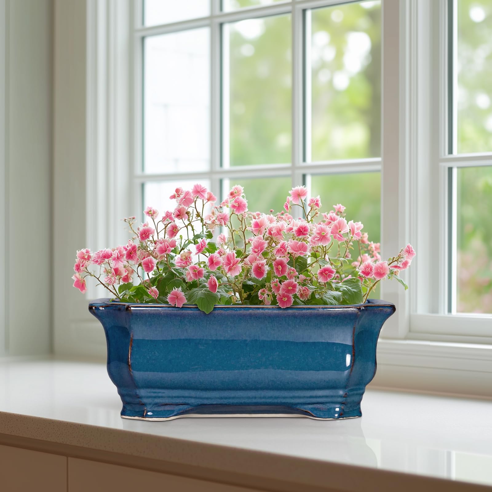Teagas 11.6 inch pot offers generous space for bonsai or succulents