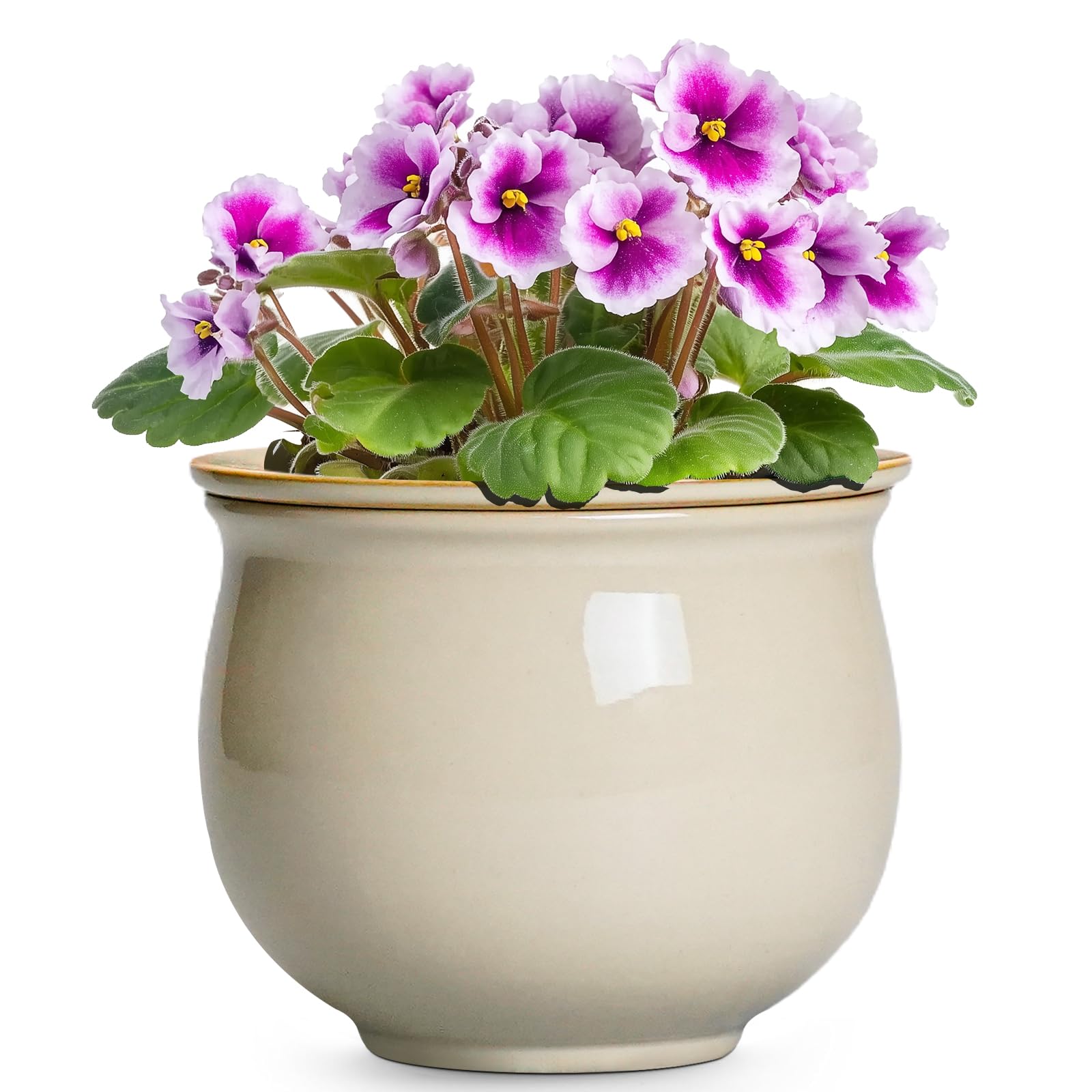 Teagas 6-inch self-watering pot outer pot close-up showing steady hydration.