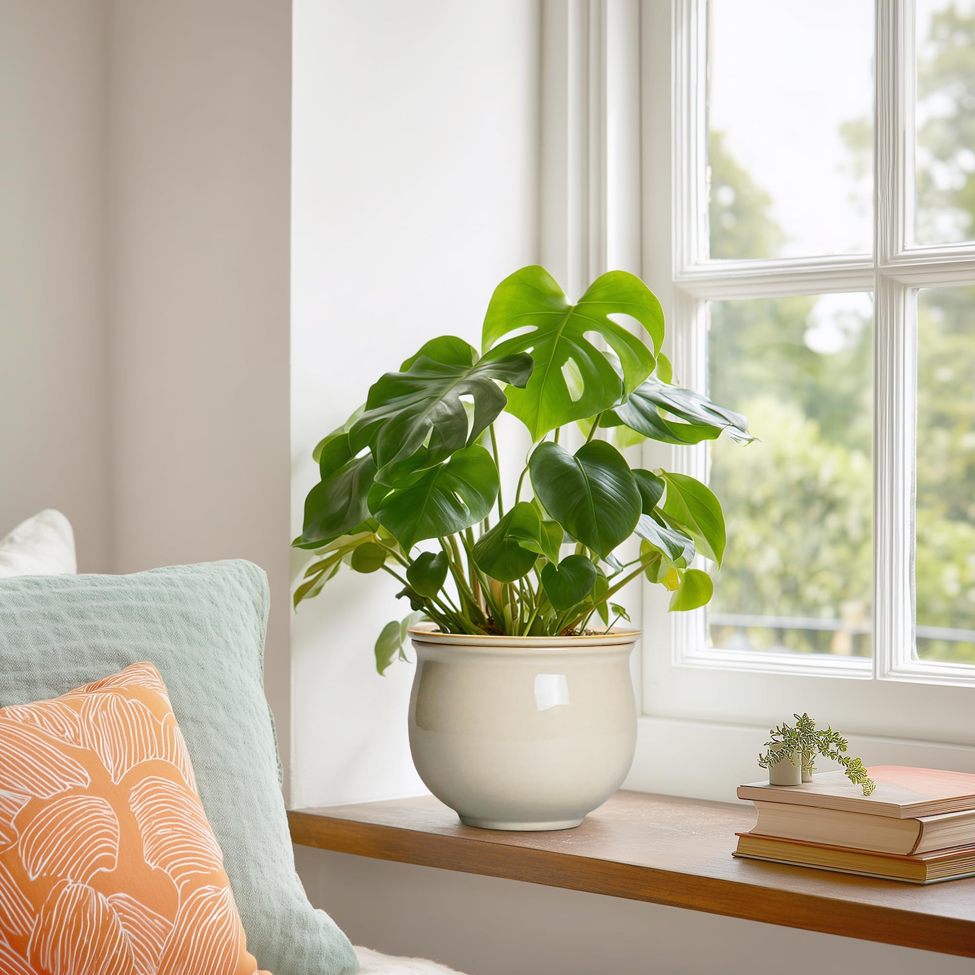 Teagas African violet pot with plant setup, ideal for small houseplants.