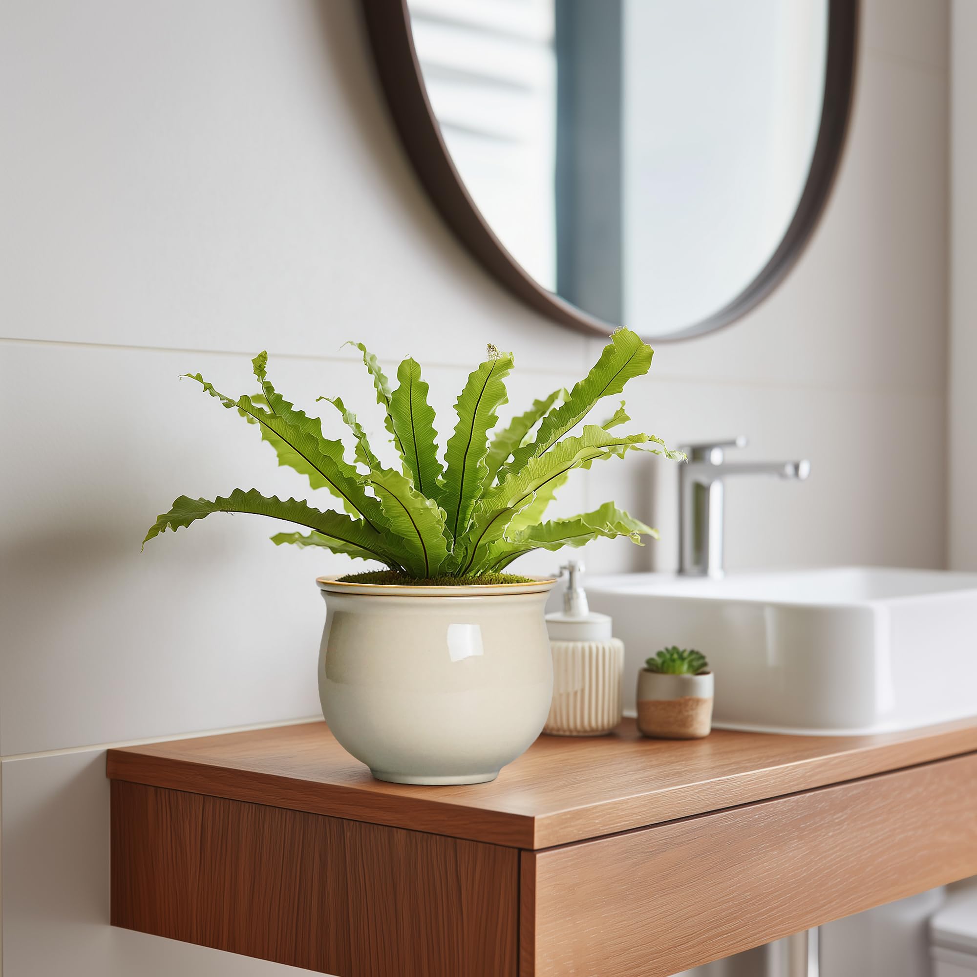Teagas beige self-watering planter adds a warm decor accent.