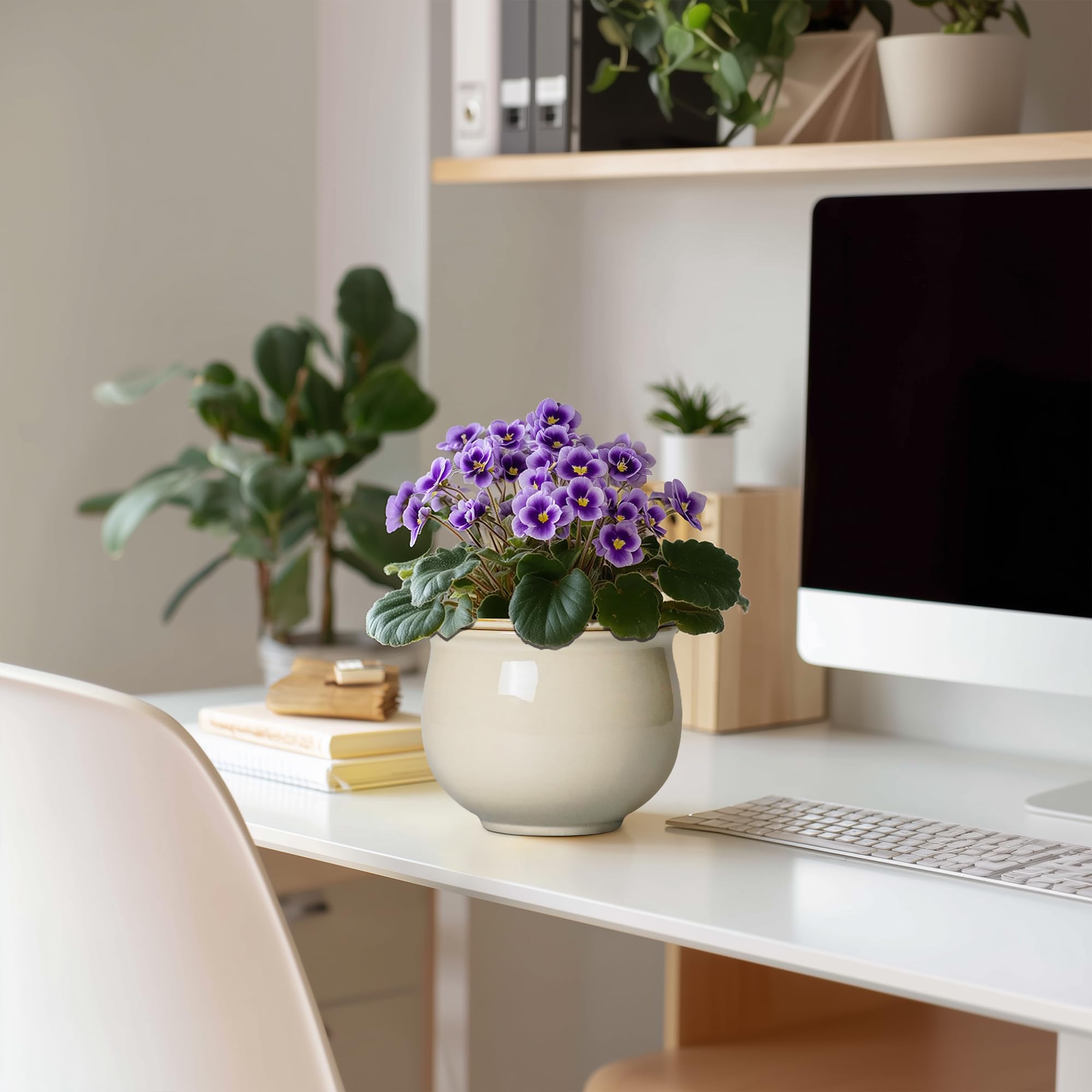Teagas ceramic planter with glazed interior and exterior for easy cleaning.