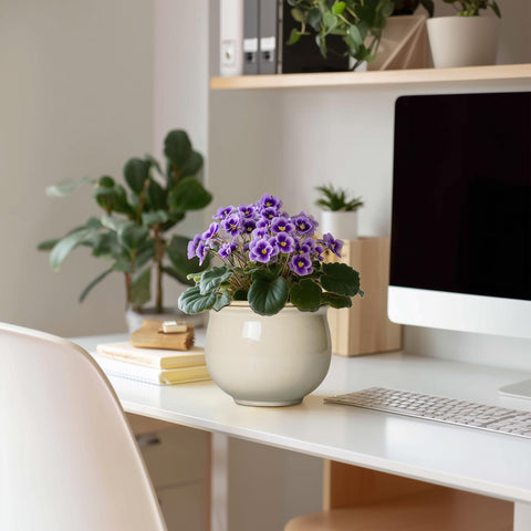 Teagas ceramic planter with glazed interior and exterior for easy cleaning.