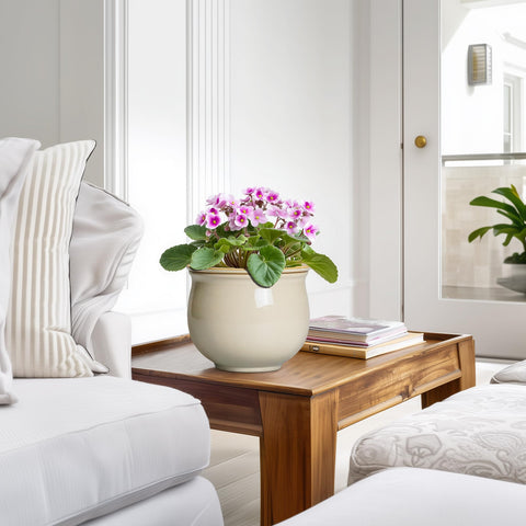 Teagas gift-ready self-watering pot for plant lovers.
