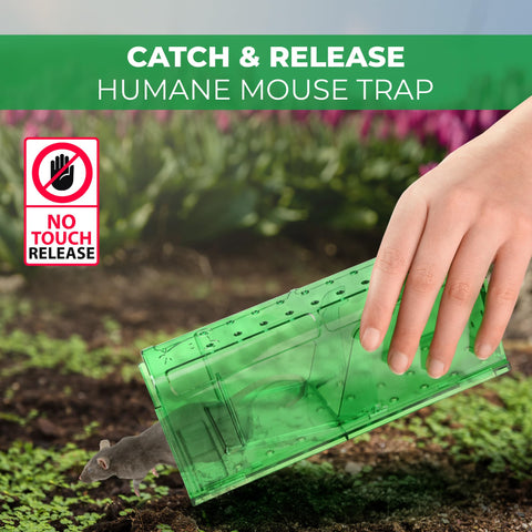 Cleaning brush included with Teal Elite humane mouse trap for easy maintenance.