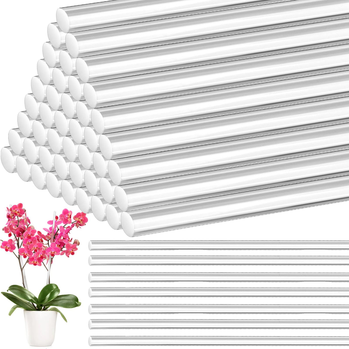 Tebery clear plant stake 17.3 inch provides discreet single-stem support.