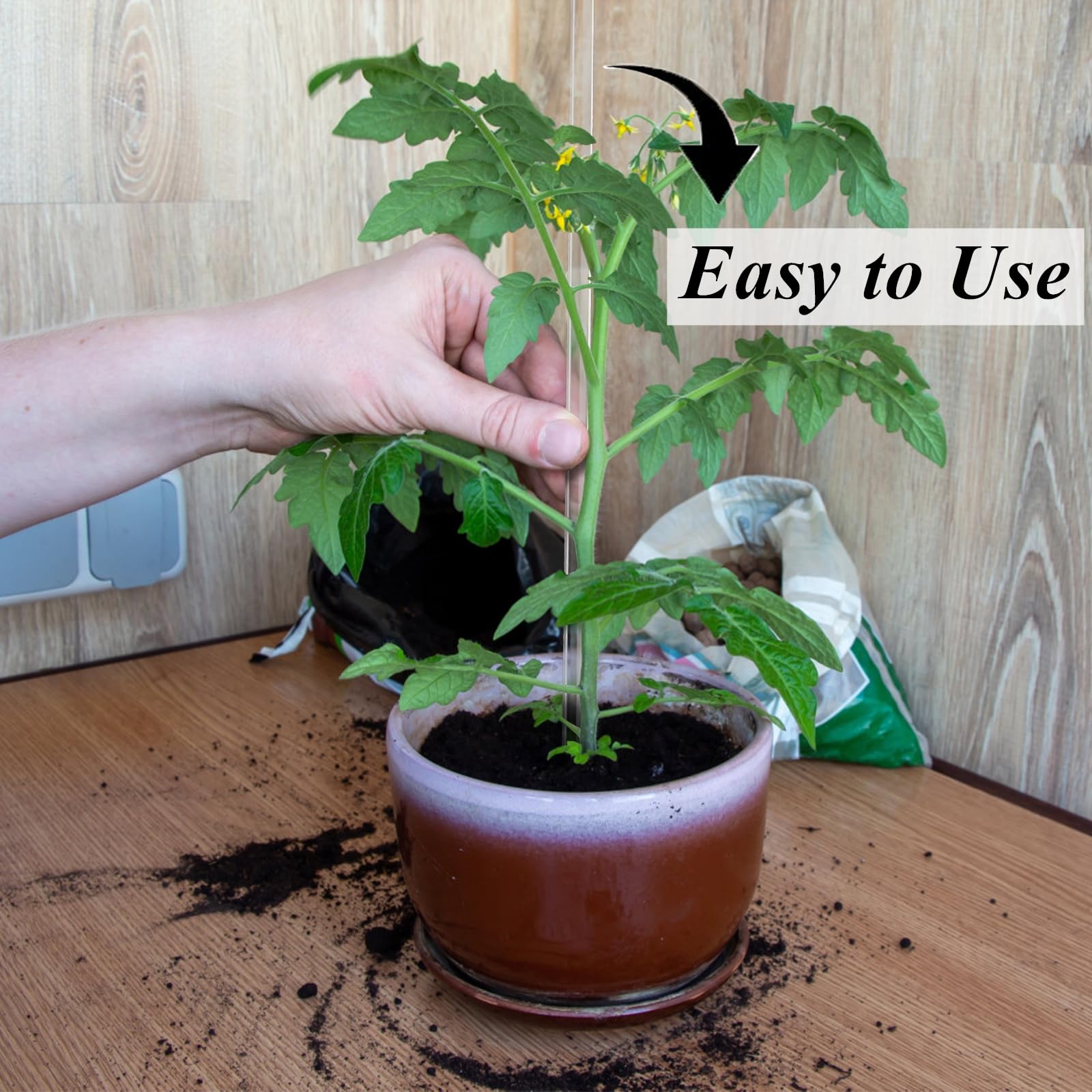 Tebery DIY stake shown as cake topper for decorative crafts.