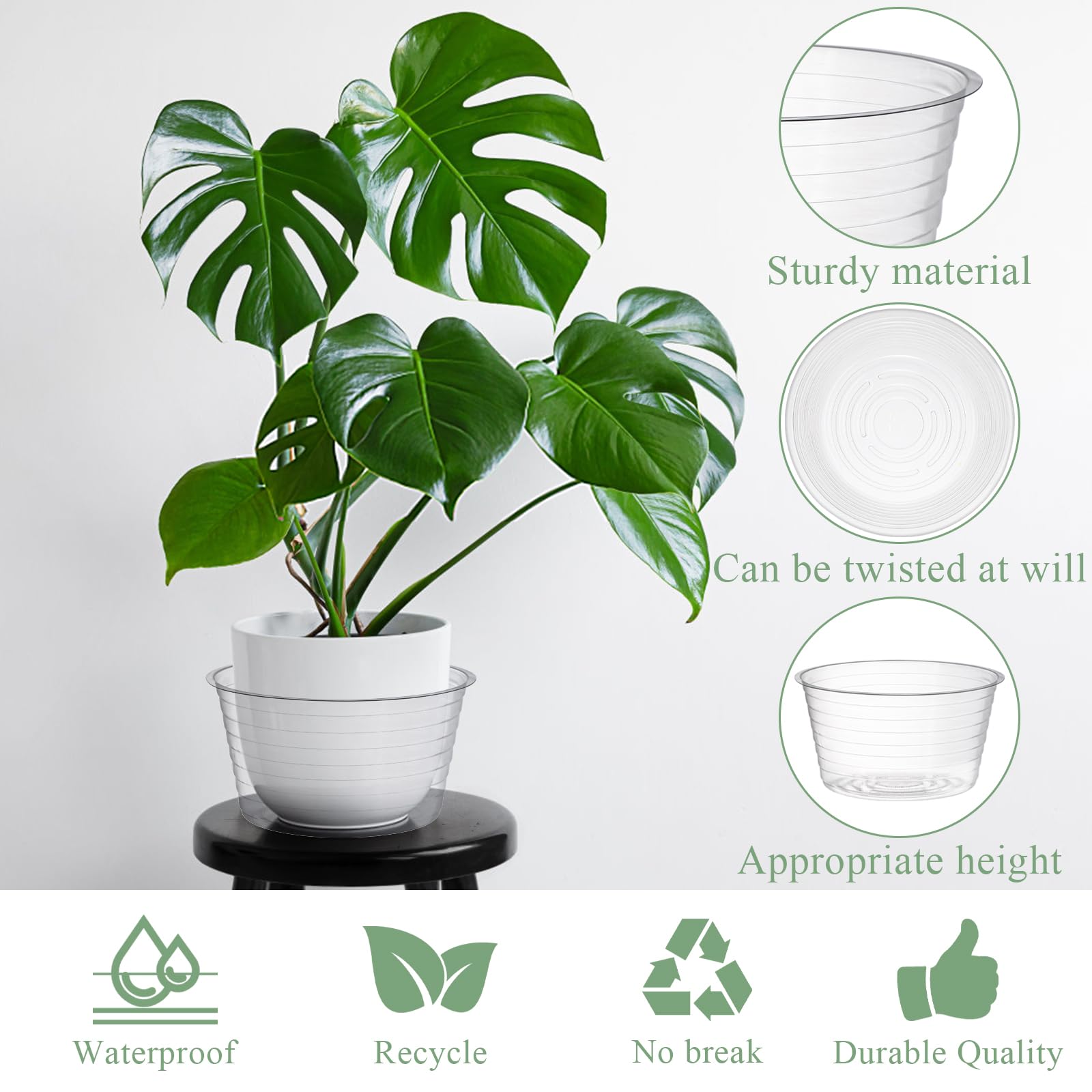 Tebery durable 6-inch depth saucer seen from the front.