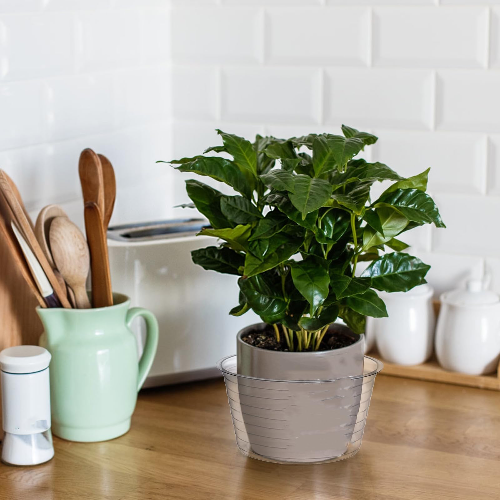 Tebery indoor and outdoor use under pots helps protect surfaces.
