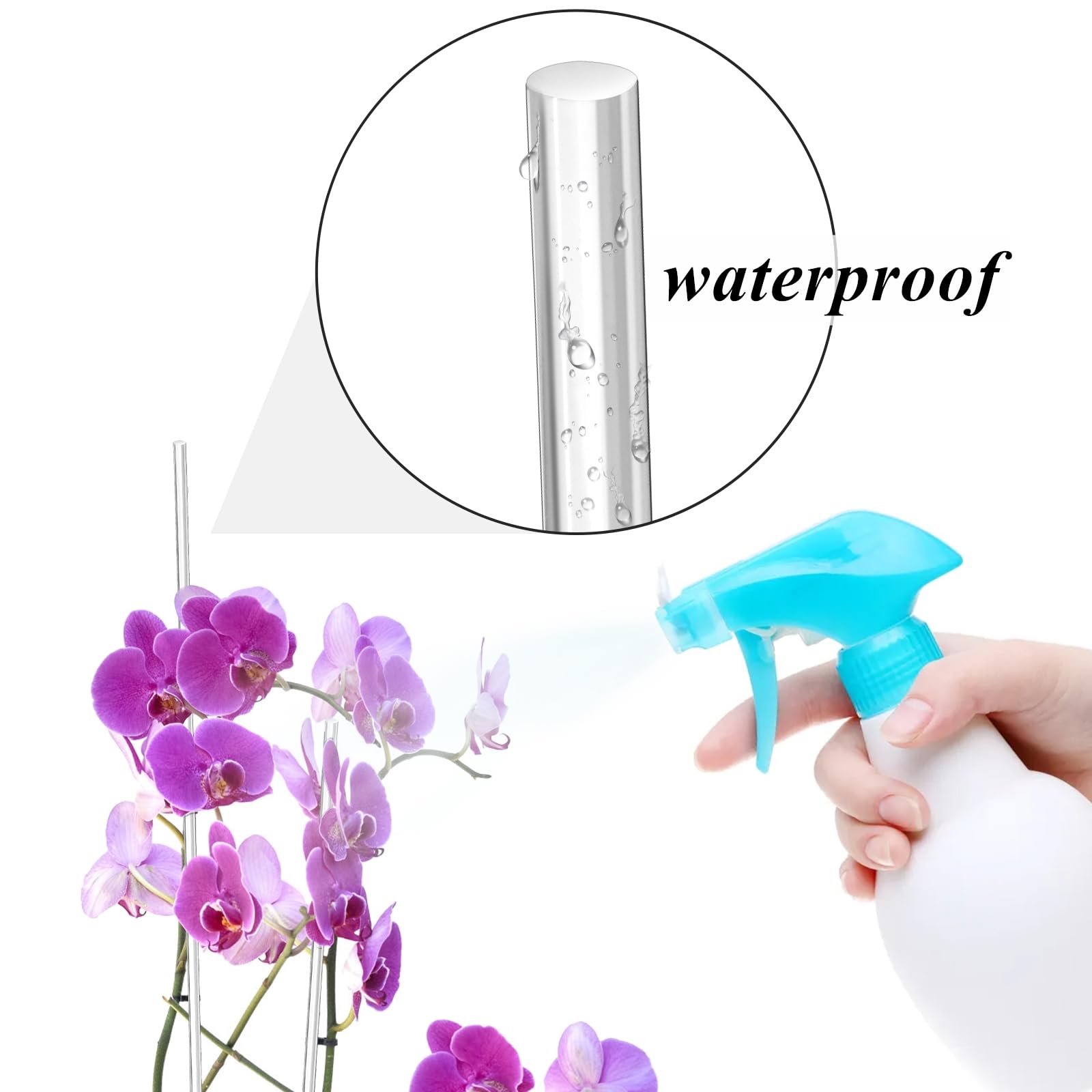 Tebery orchid stake offering transparent support for delicate blooms.