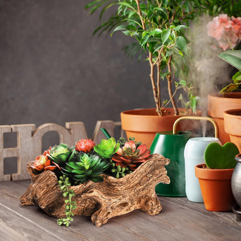 Tebery small-plants container elevates micro-gardens and tabletop decor.