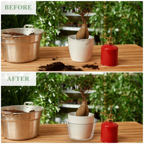 Tebery stackable saucers demonstrate space-saving storage.