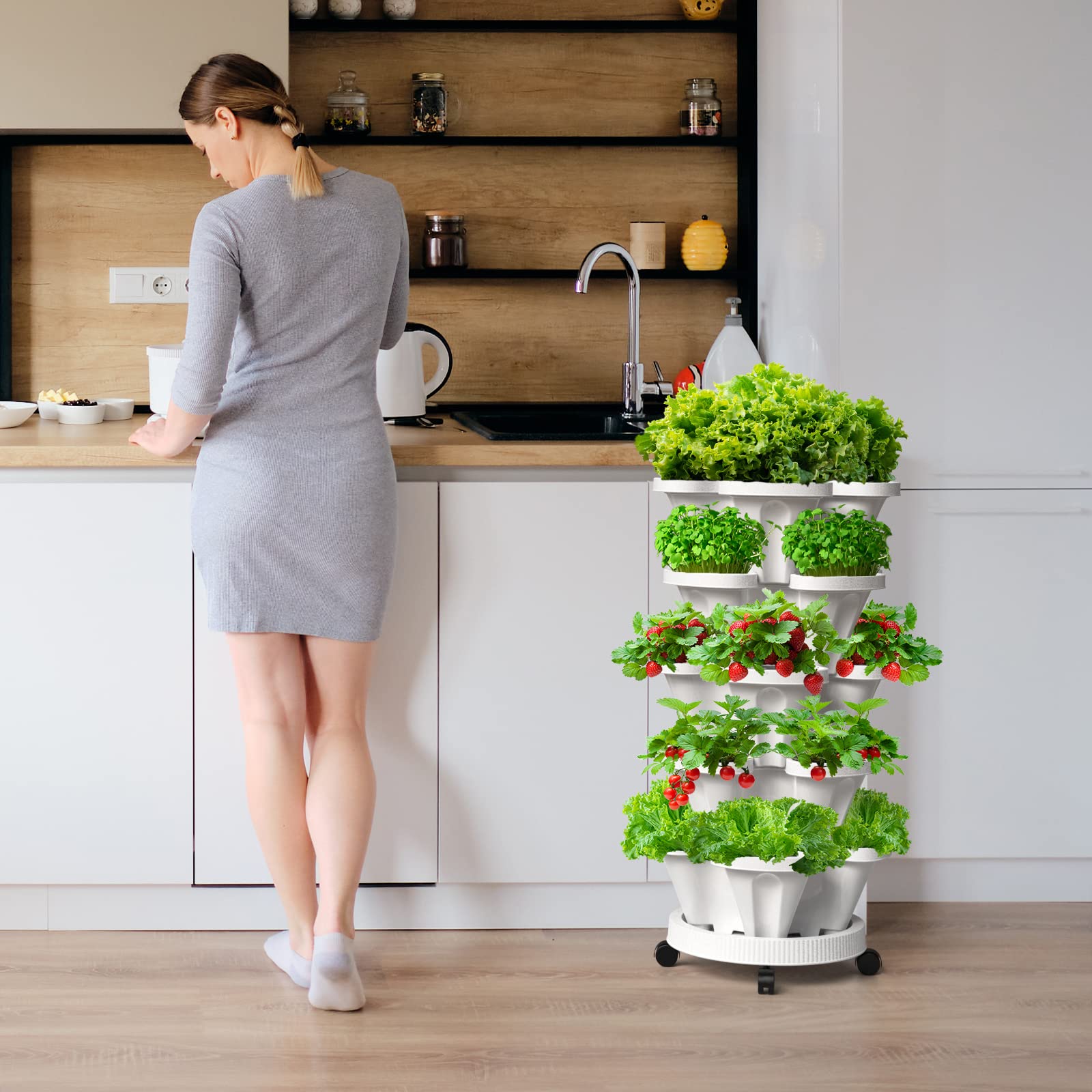 Tectsia indoor/outdoor garden setup for herbs greens and blooms