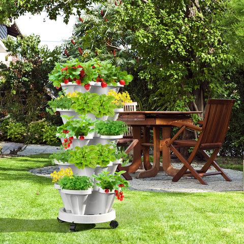 Tectsia strawberries cascade over the edge for decorative harvest