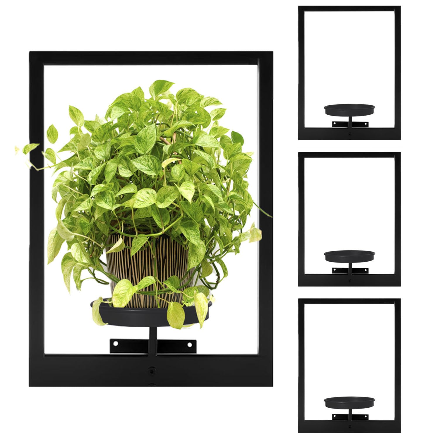 Tecked window plant shelf display for stylish indoor decor with black metal.
