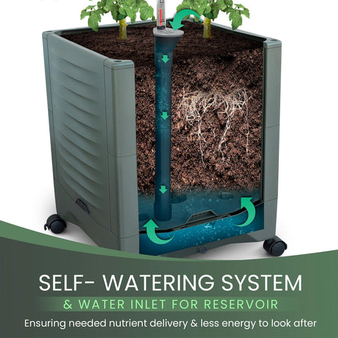 TeCreatio tomato planter reservoir and water level indicator support easy moisture management