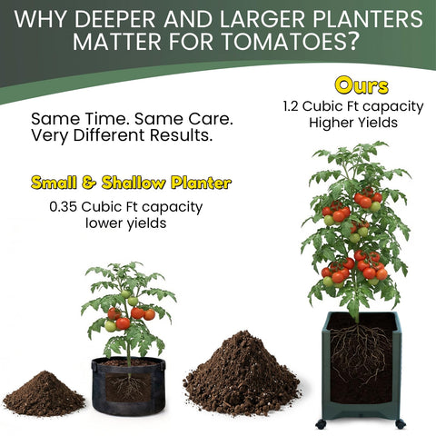 TeCreatio tomato planter sturdy metal trellis provides reliable support for climbing plants