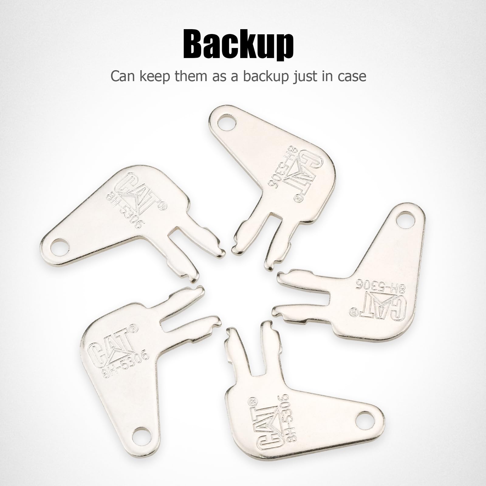 Tecreddy 10-pack cat master keys providing backup options for field work