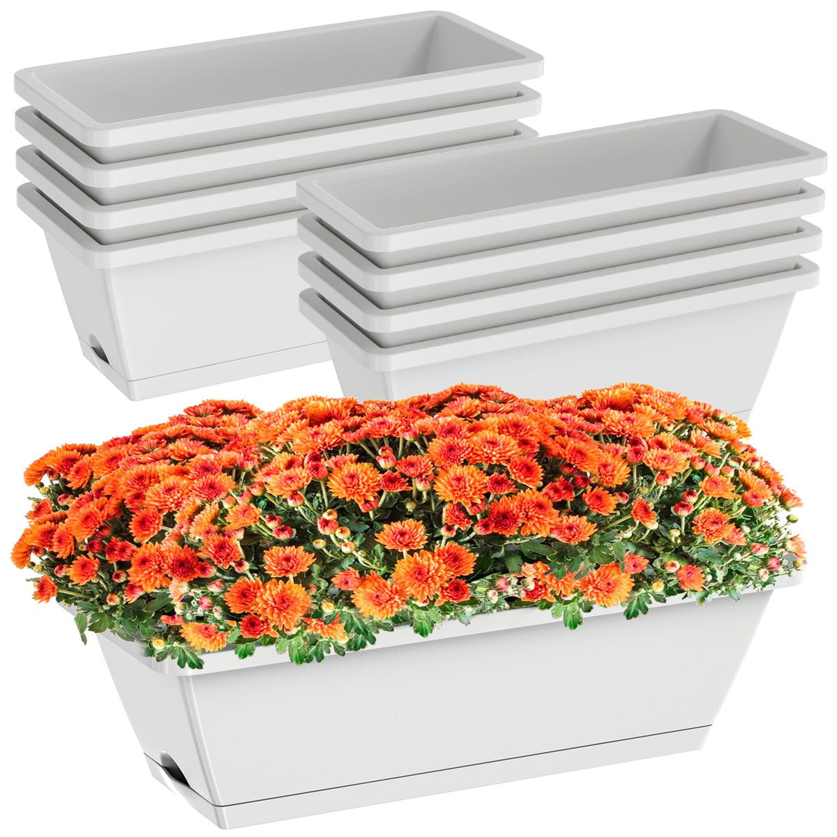 Tectsia rectangle window boxes front view highlight space-saving urban gardening