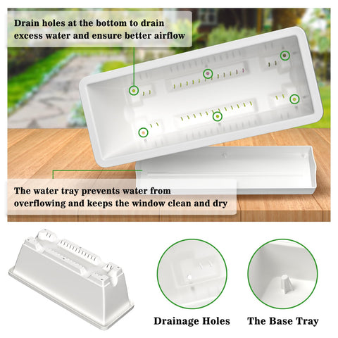 Tectsia succulent and fern window box supports low-water indoor displays