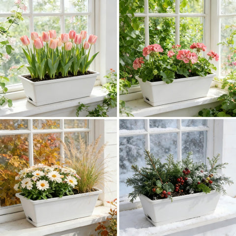 Tectsia window planter trays removable feature simplifies watering and maintenance