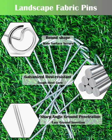 Teegroow oversized dome improves contact area for quick installation.
