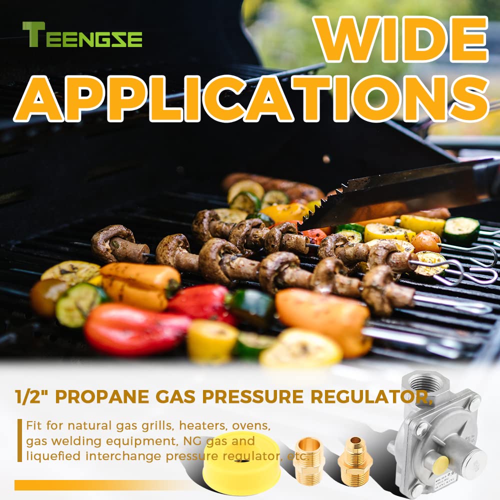 TEENGSE compact regulator maintains steady pressure across LPG and NG setups