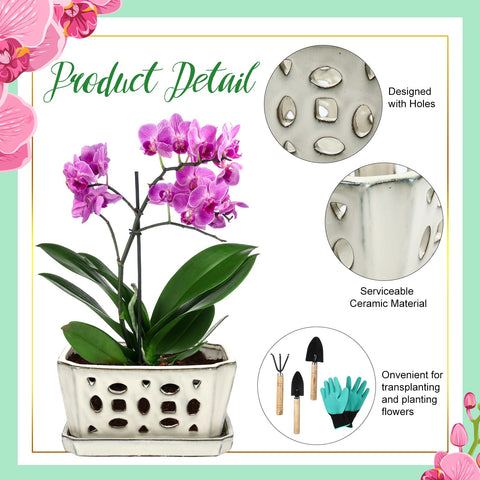 Teenyyou packing set includes shovels for smooth transplanting and planting.