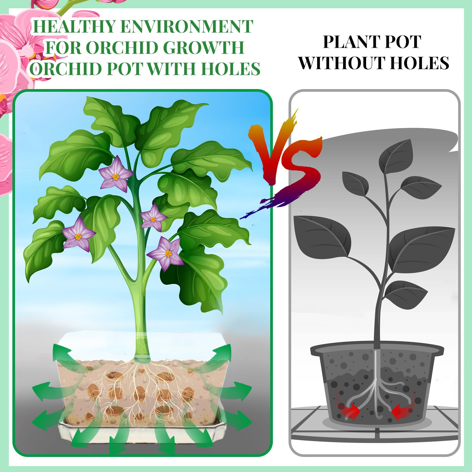 Teenyyou planting setup demonstrates ready-to-use kit for home gardening.