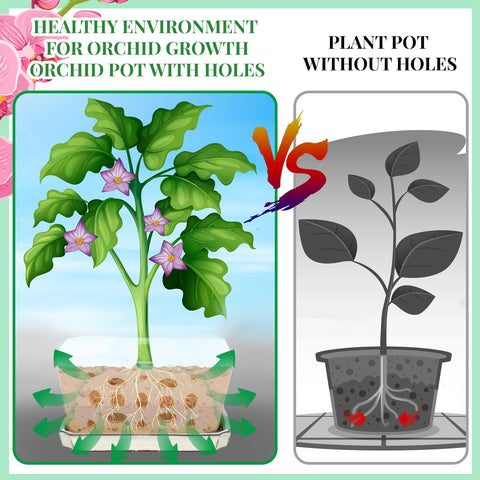 Teenyyou planting setup demonstrates ready-to-use kit for home gardening.