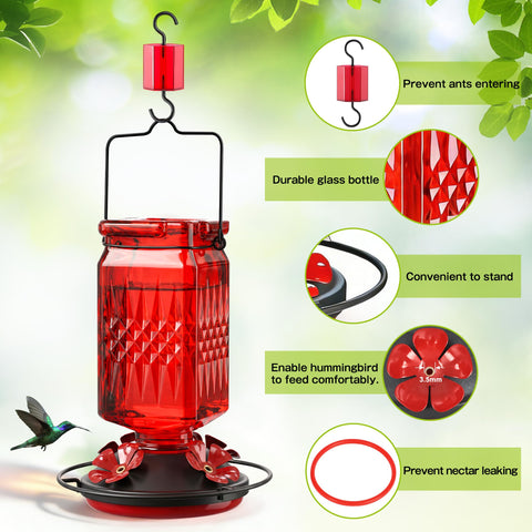 Tegarbed hummingbird feeder ant-moat shields nectar from ants during feeding