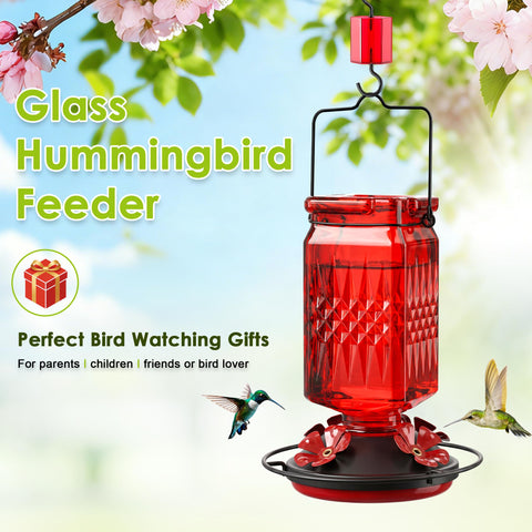 Tegarbed hummingbird feeder hanging-loop enables flexible placement on trees or patios