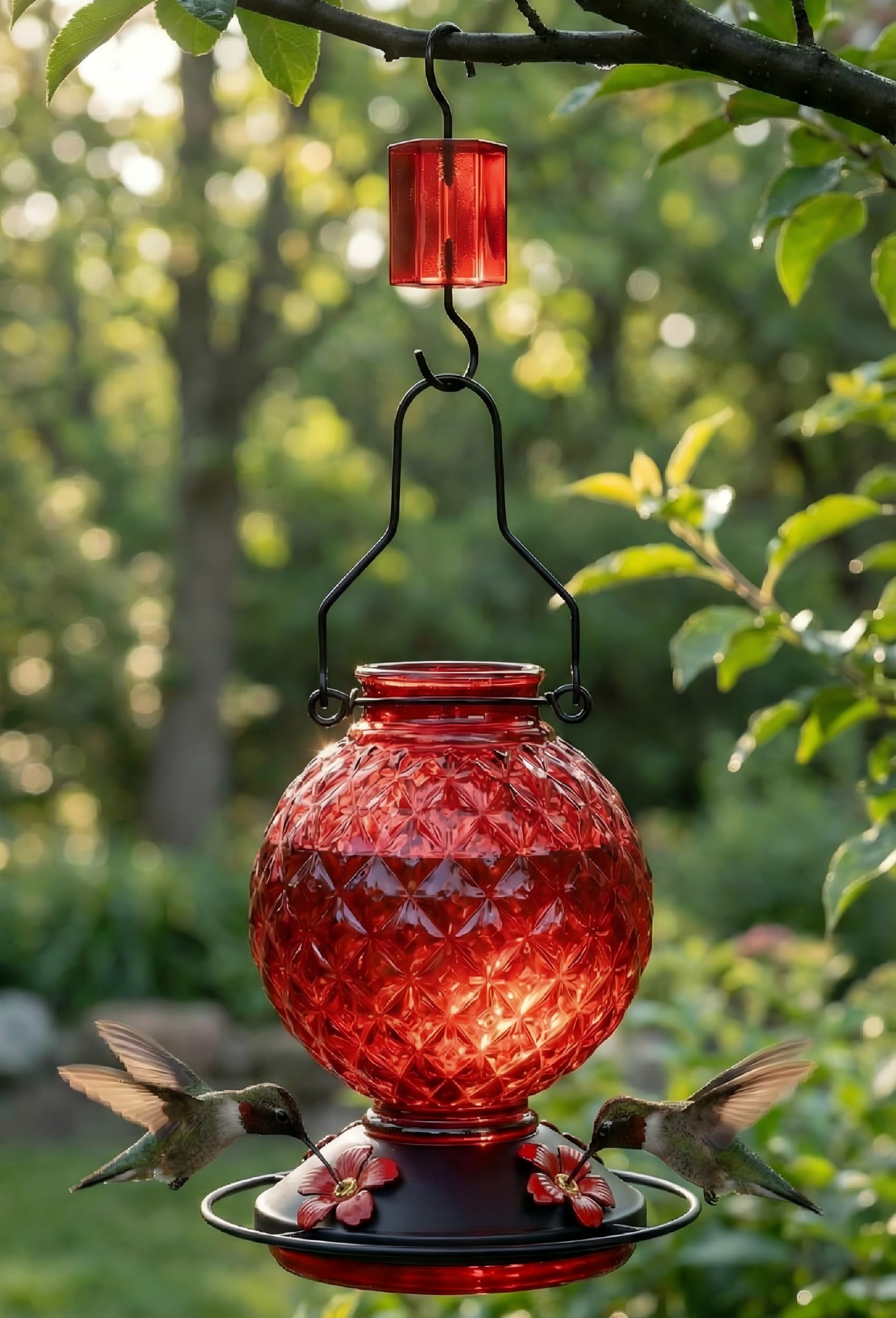 Tegarbed outdoor bird feeder with circle perch supports multiple birds