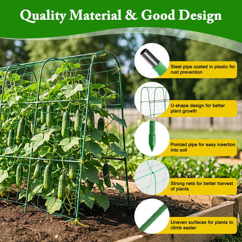 Tegarbed plant support ideal for cucumbers, tomatoes, beans and grapes.