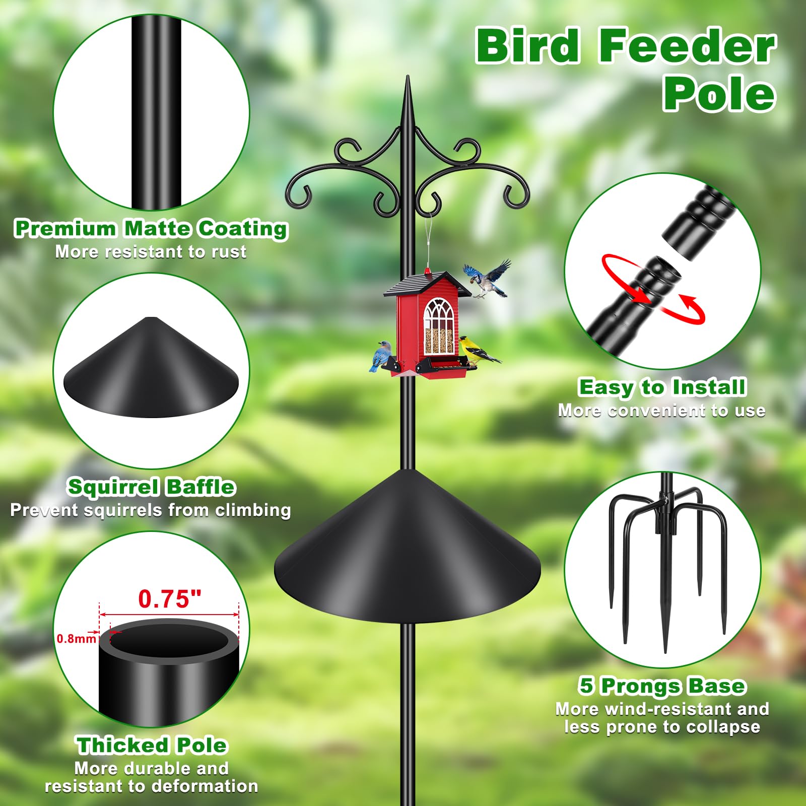 Tegarbed squirrel-baffle guard prevents food theft and squirrel access.