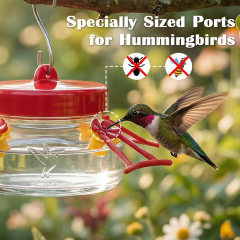 Thickened glass design emphasizes durability and visible nectar levels.
