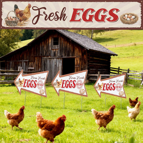 Tegeme Fresh Eggs outdoor store decor banner creates inviting entrance