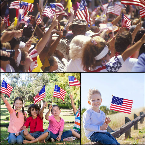 Tegeme US flags 100-pack on sticks for group celebrations.