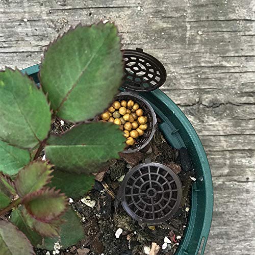 Tegg basket ideal for bonsai use in pots and soil environments