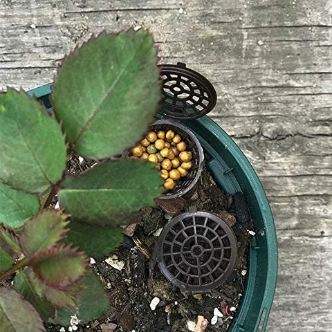 Tegg basket ideal for bonsai use in pots and soil environments
