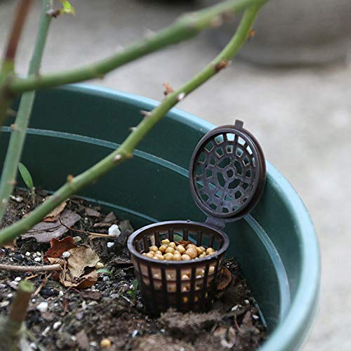 Tegg fertilization basket used with orchids to nourish roots